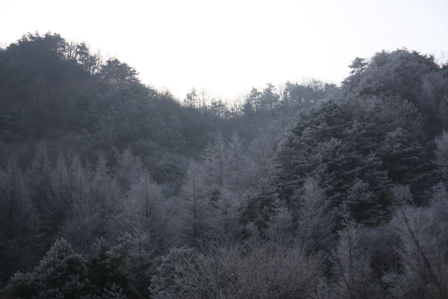 KY4A2587.JPG