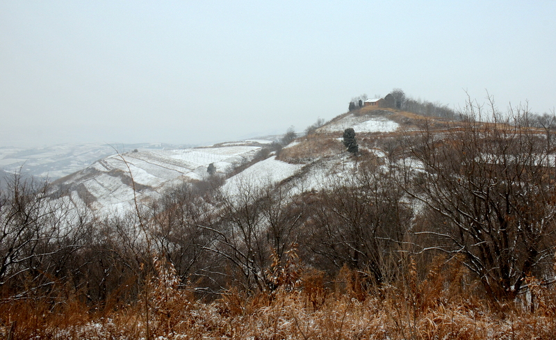 DSC_1831.jpg
