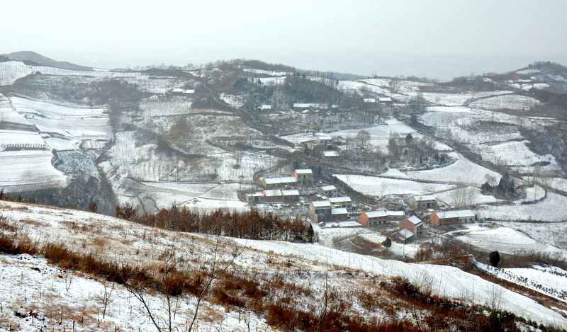 DSC_1871.jpg