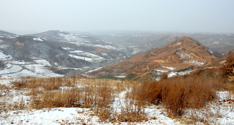 DSC_1875.jpg