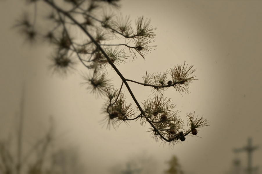 DSC_6984_HZP_HZP.jpg