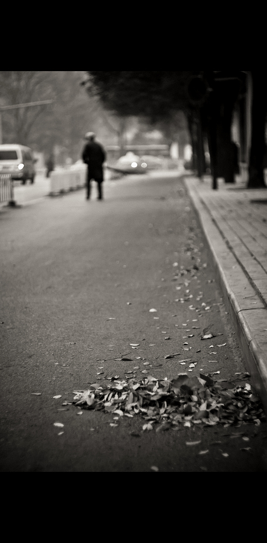 _MG_5081.jpg