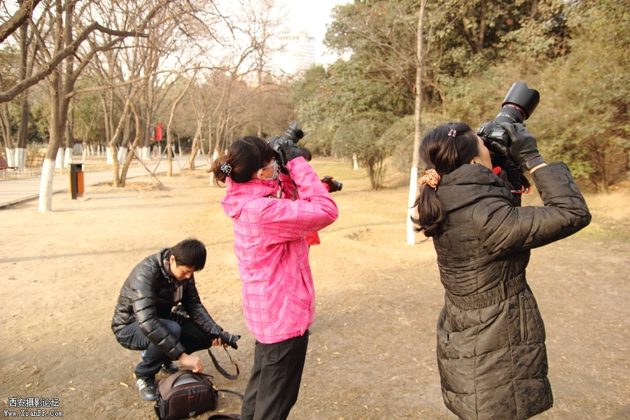 _MG_8228@.JPG