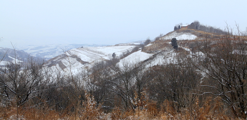 IMG_3010.JPG