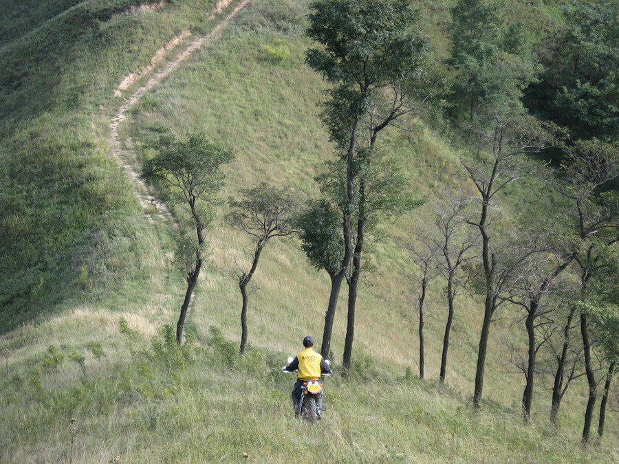 200699220336-495.jpg