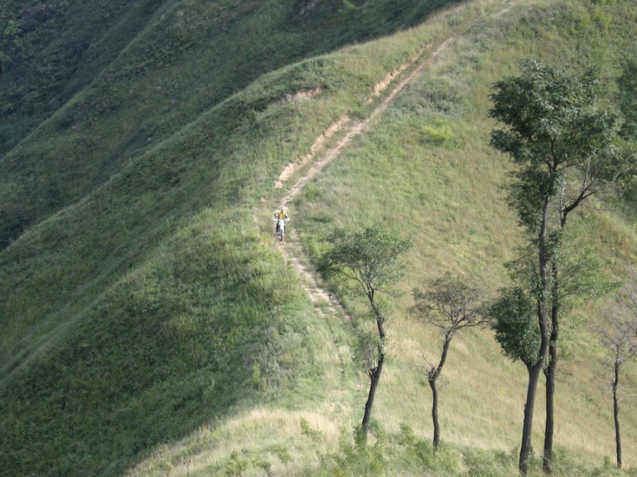 200699220526-495.jpg