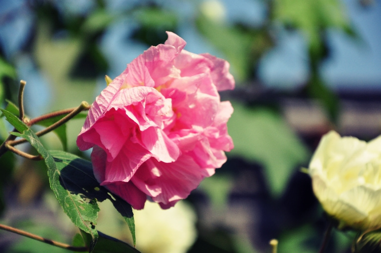 SC_0127 (15)_HZP.jpg