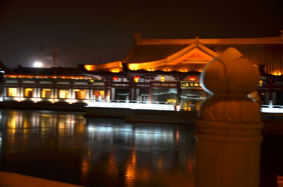 DSC_0487.JPG