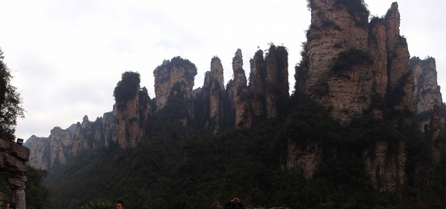 DSC02909.JPG