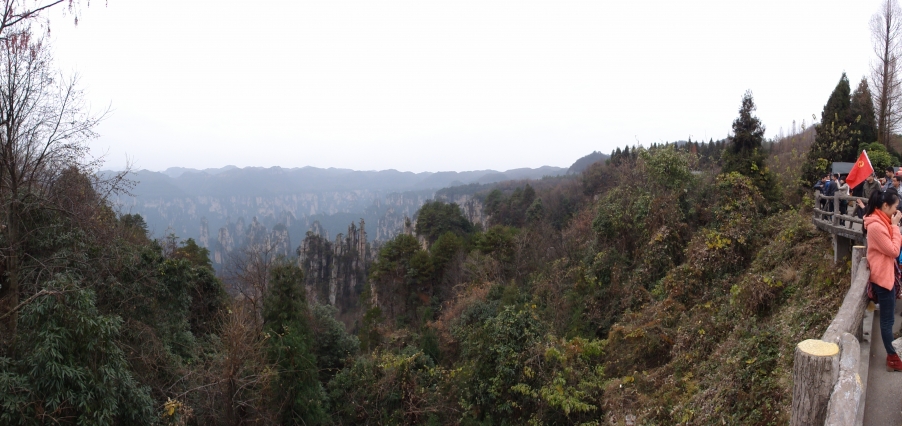 DSC02972.JPG