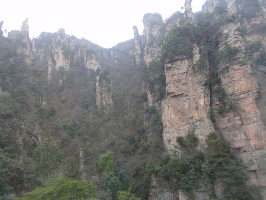 DSC02934.JPG