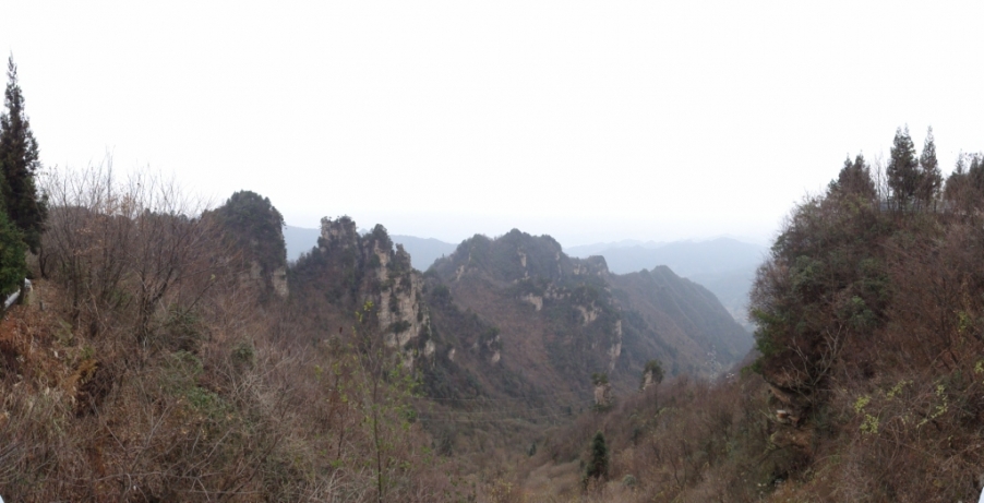 DSC02963.JPG