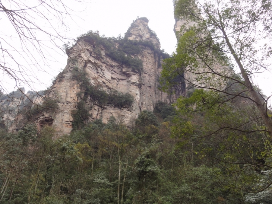 DSC02787.JPG