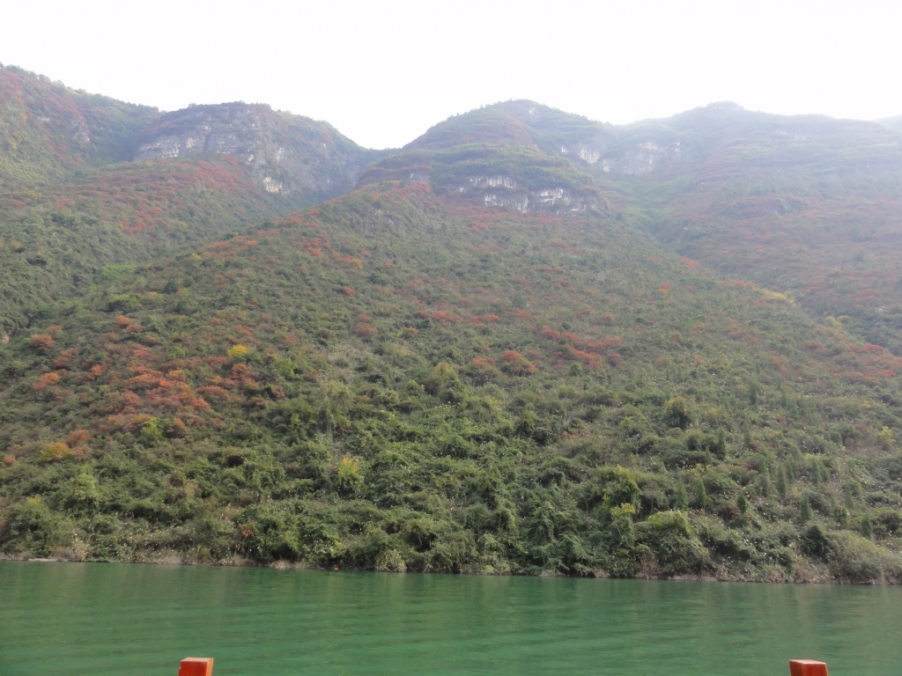 DSC02427.JPG
