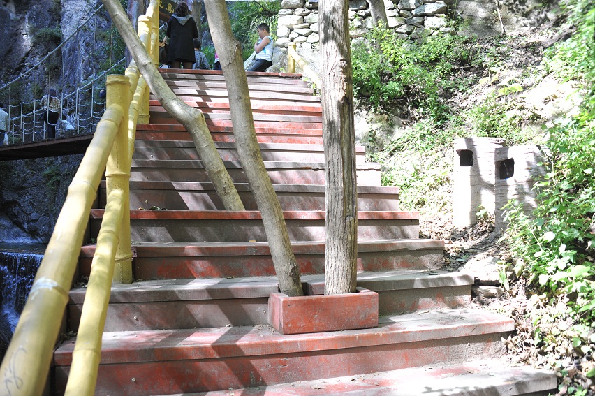 DSC_1288.JPG