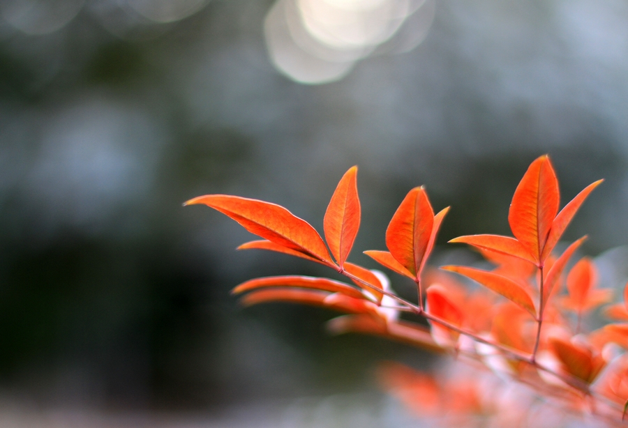 丰庆公园拍摄 019.jpg