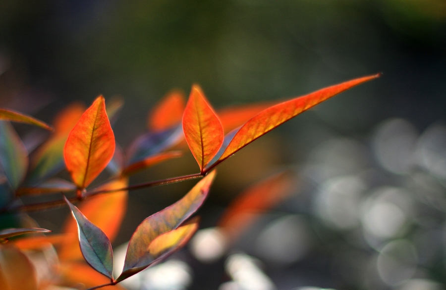 丰庆公园拍摄 031.jpg