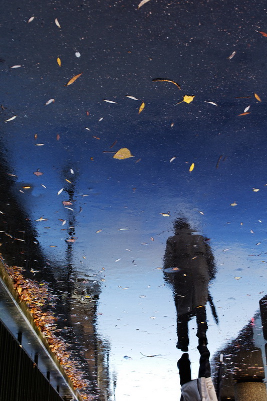 090757rz17n8zsffsfi3rn.jpg