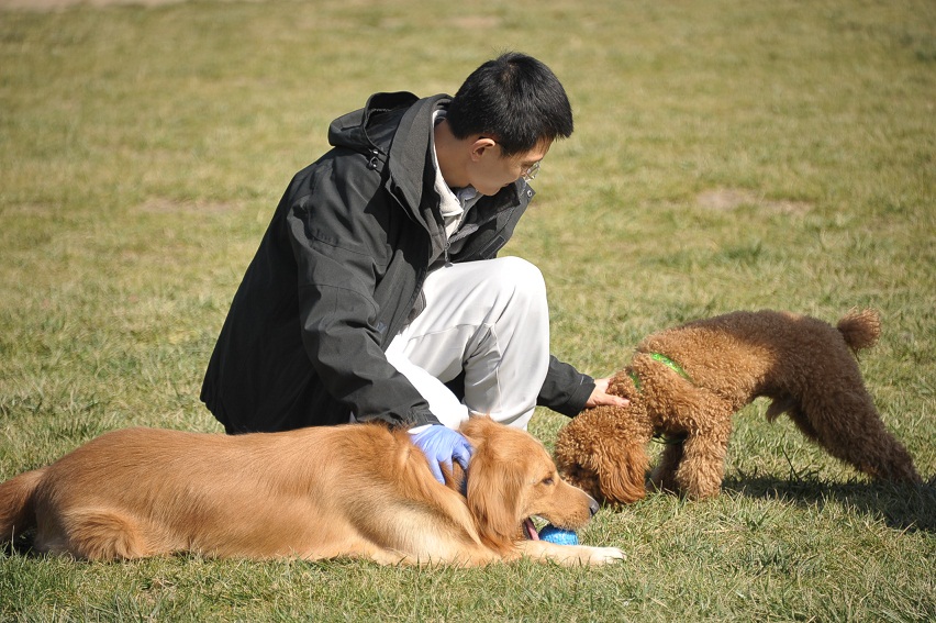 DSC_2982.JPG