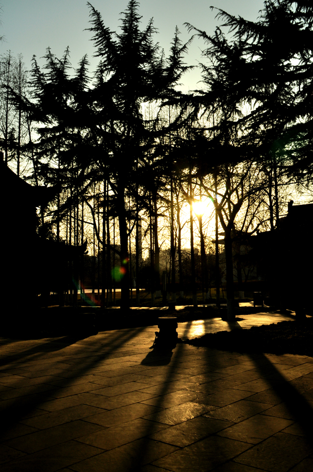 DSC_0240.JPG