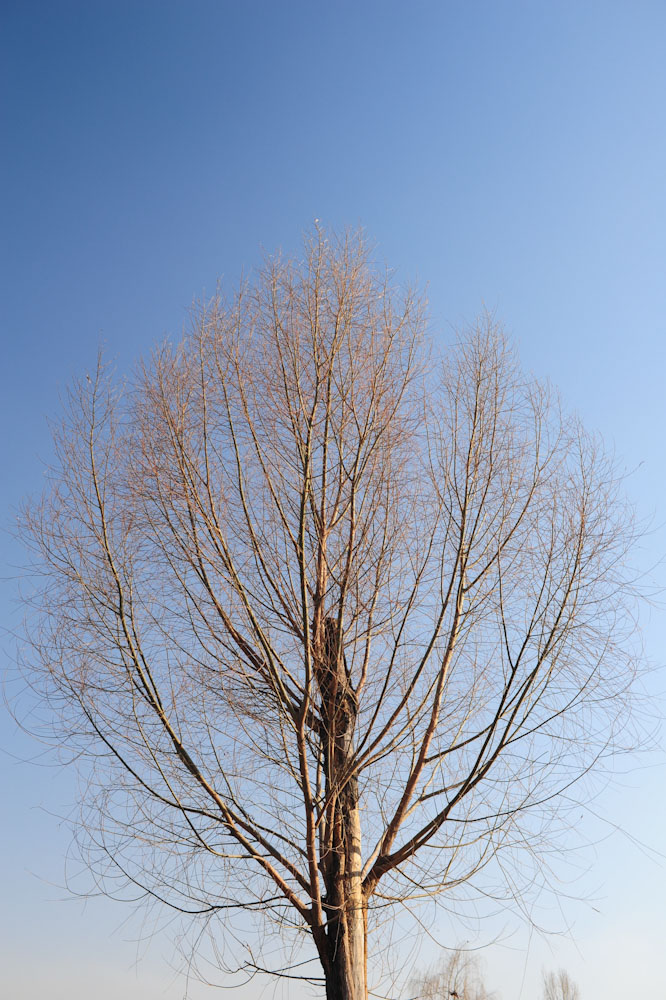 DSC_1237.jpg