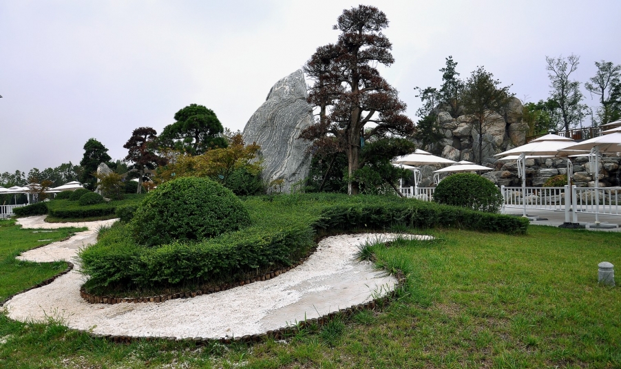 DSC_1628.JPG