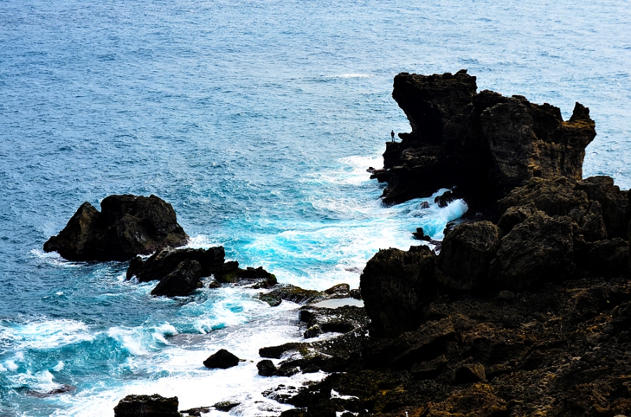 DSC_1401.jpg
