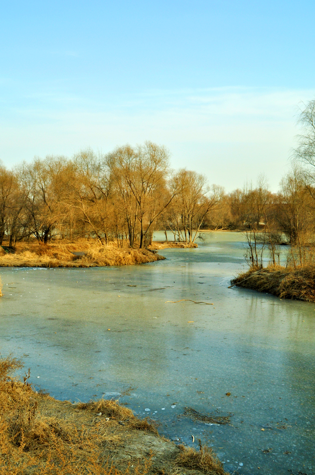 DSC_0005.jpg