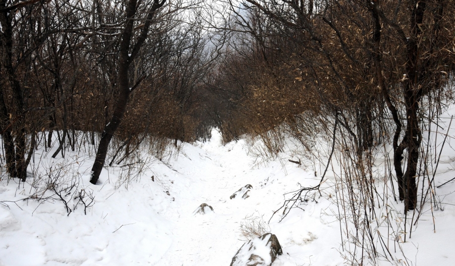 DSC_1691.JPG
