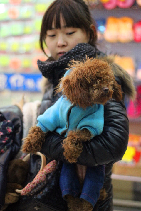 IMG_0076_副本.jpg