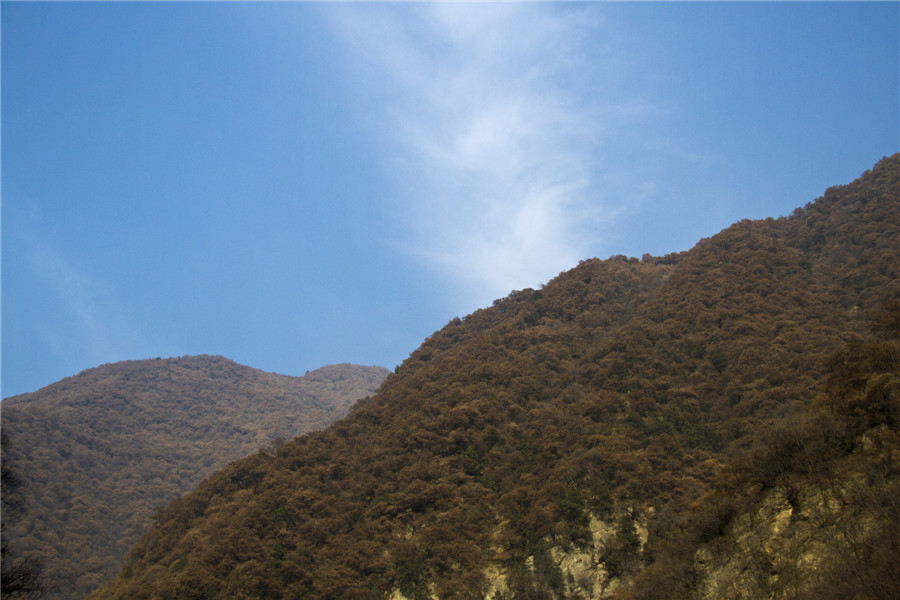 _MG_6751.jpg