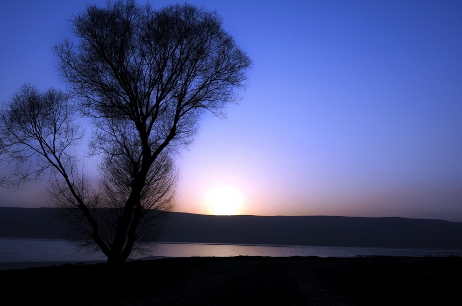 DSC_1921.jpg