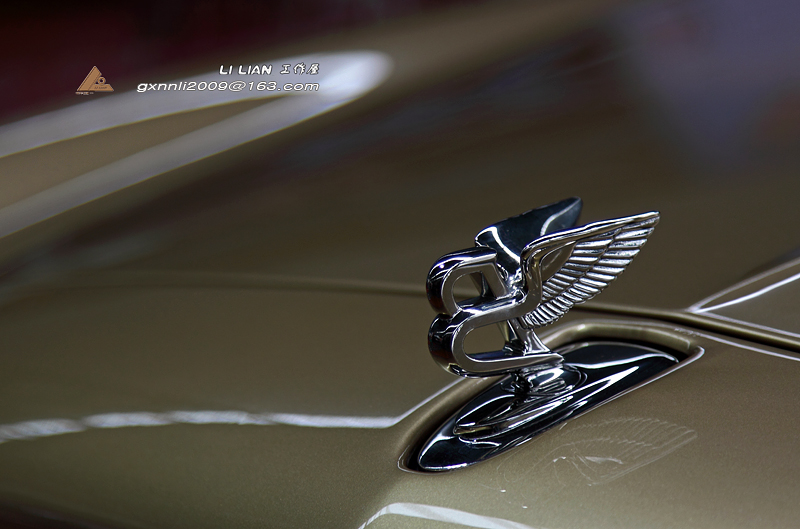 抢眼（CH）......用(Canon佳能EF 24-105mm f/4L IS USM)拍。