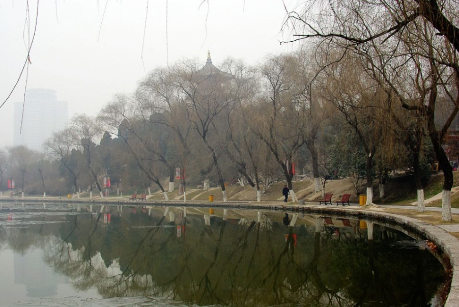 IMGP2446.jpg