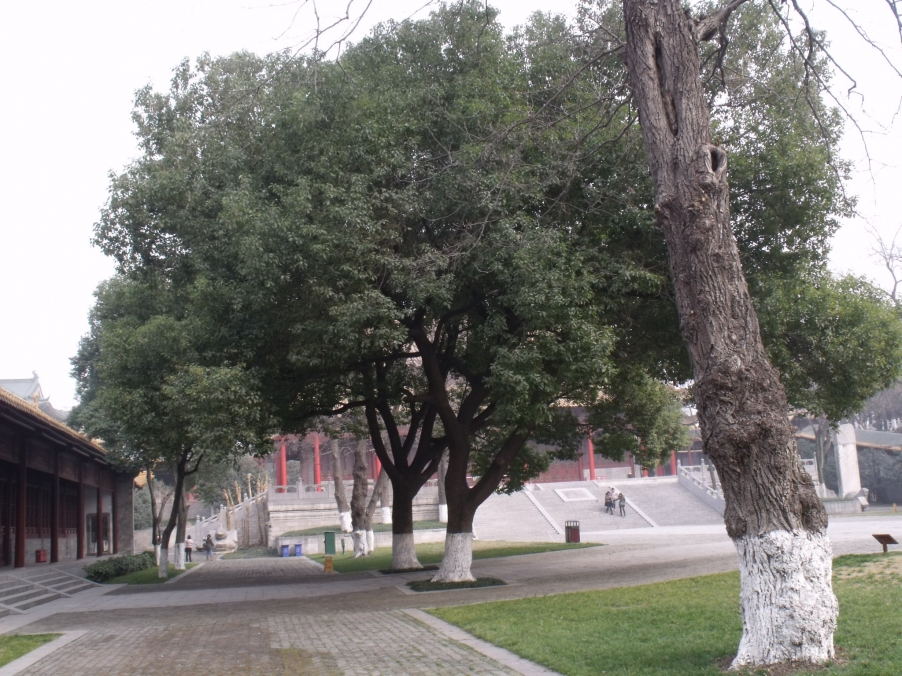 DSCF4138.JPG