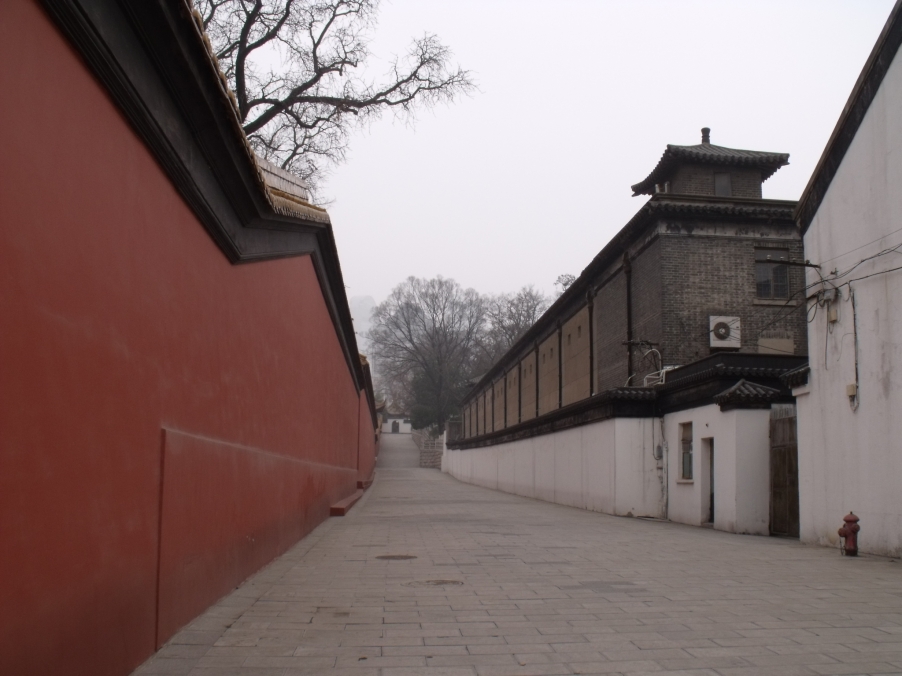 DSCF4265.JPG