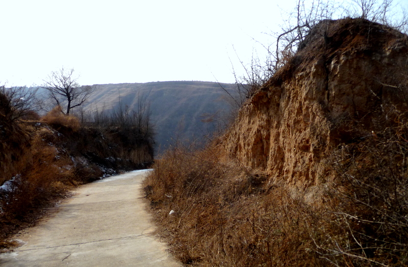 P1120120.JPG