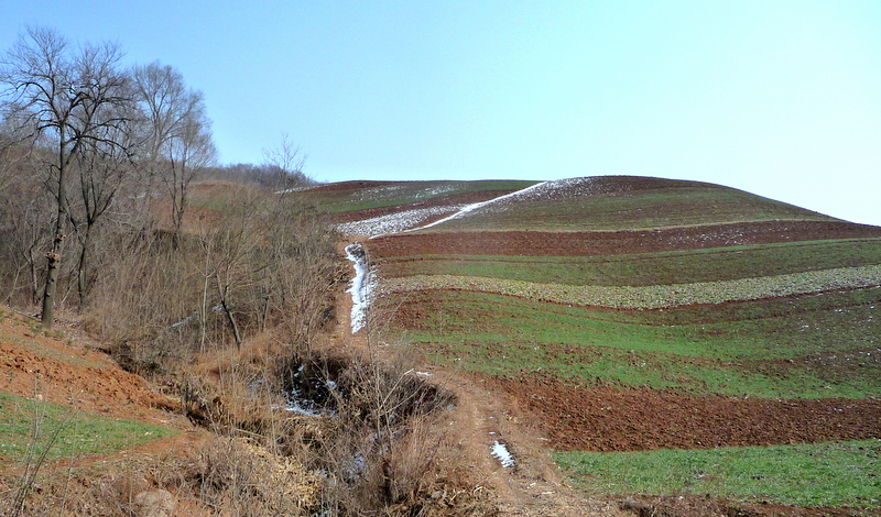 P1120129.JPG