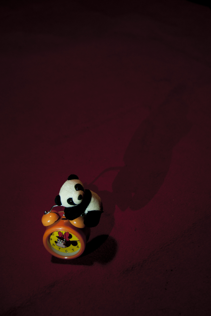 DSC07505.jpg