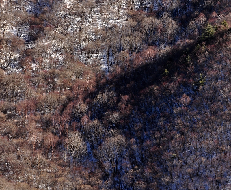 DSC_0484.jpg