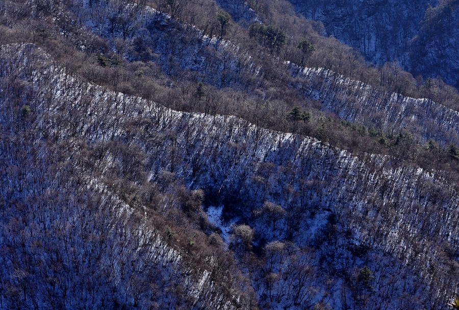 DSC_0247.jpg