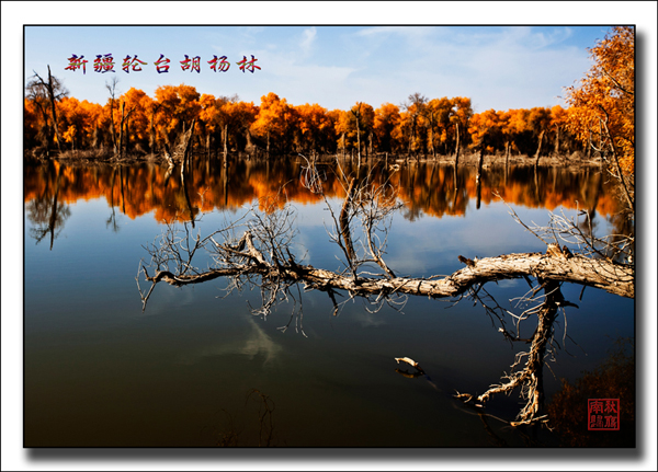 未标题-87.jpg