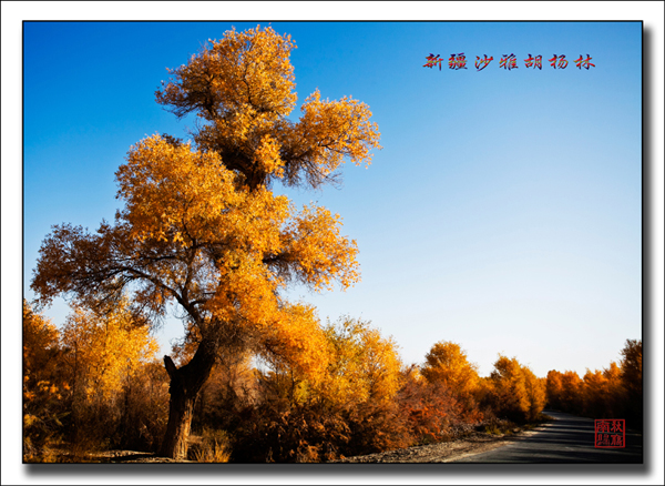 未标题-58.jpg