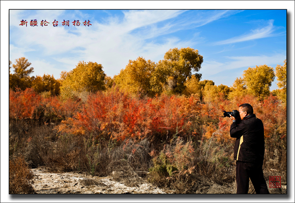 未标题-91.jpg