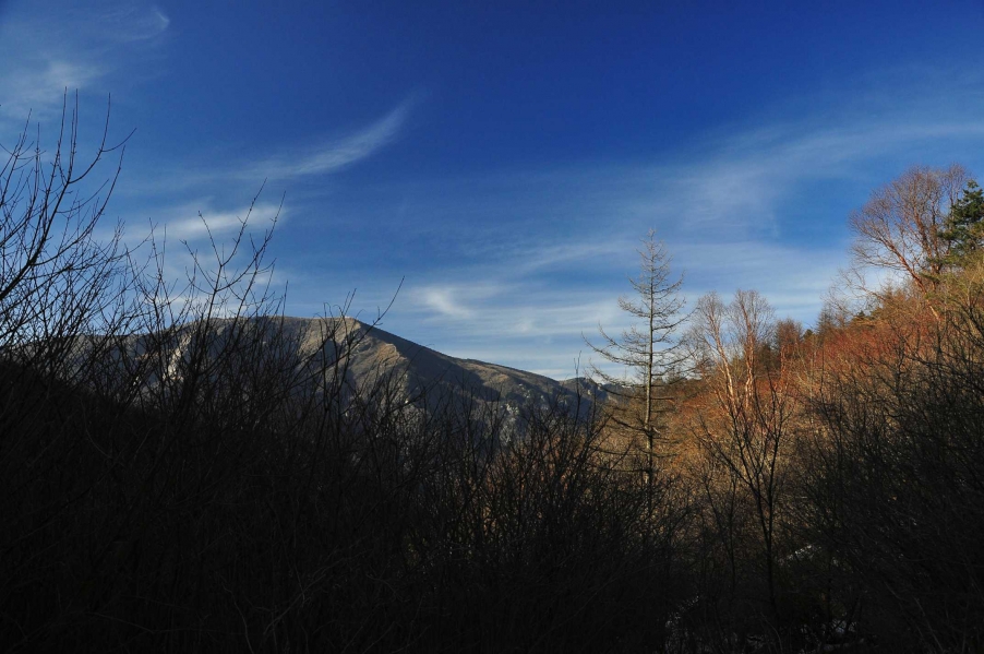 DSC_0320_HZP_HZP.jpg