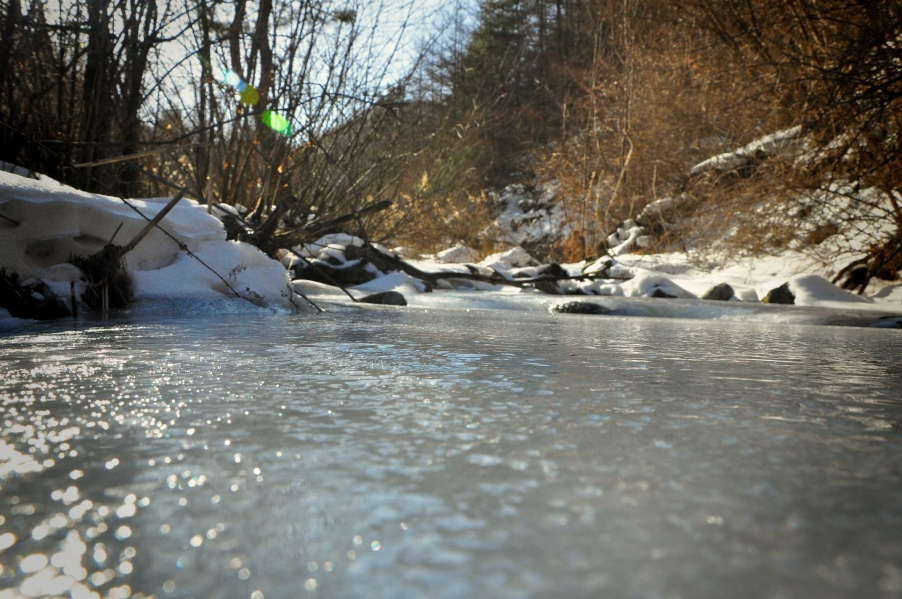 DSC_0015_HZP_HZP.jpg