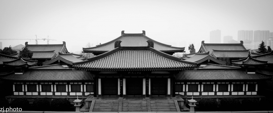 DSC02205-1.jpg