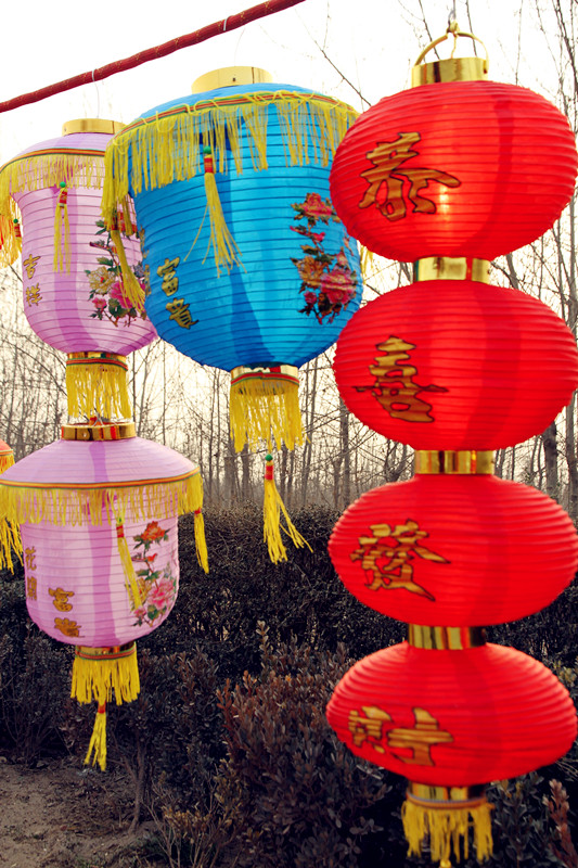 兴教寺 078_副本.jpg