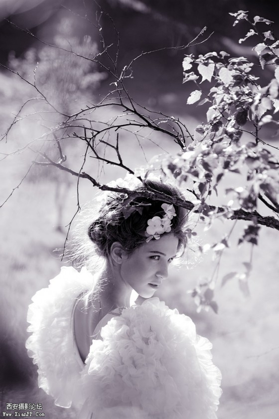 anzs04-560x840.jpg anzs04-560x840.jpg