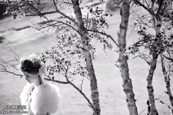 anzs03-560x373.jpg anzs03-560x373.jpg